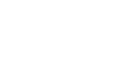 Nelson Rentals logo